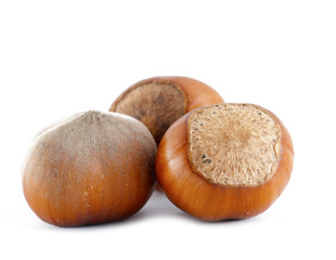 Hazelnuts