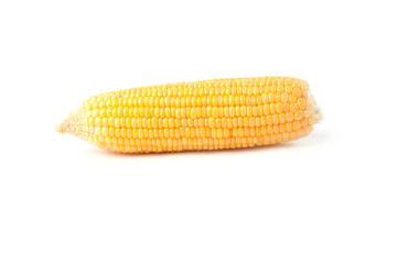 Corn isolated on white background.