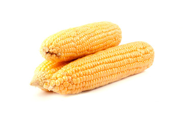 Corn isolated on white background.