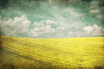 Wall murals Yellow grunge image of green field and blue sky