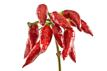 peperoncino