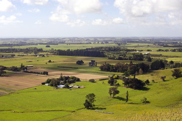 Fototapeta na wymiar New Zealand rural landscape