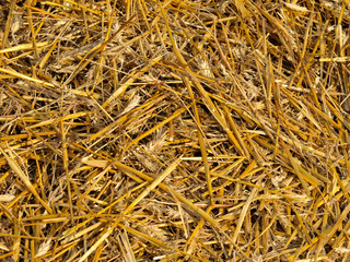 straw background