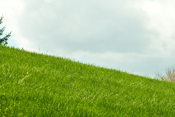 Obraz na płótnie Canvas Green Grassy Hill, Clouds in Background