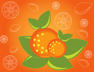 abstract fruit Illustration vector orange spring summer