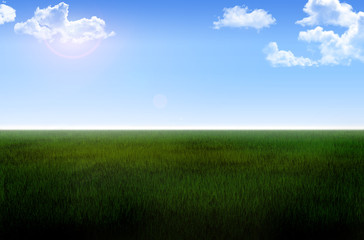 Fototapeta krajobraz łąka obraz