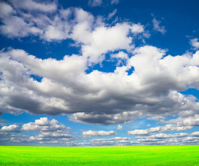 Fototapeta premium Summer Scene Wallpaper