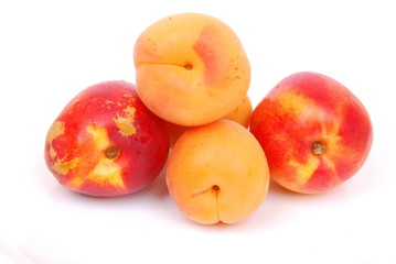 Apricots and peaches