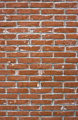 Obraz premium Brick wall texture