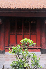 Fototapeta na wymiar Bonsaï et temple asiatique