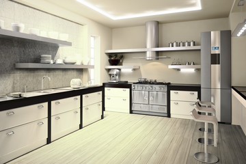 Contemporary Kitchen Design