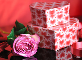 pink rose and gift boxes for holiday