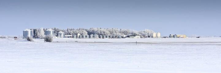 Farmyard in Winter