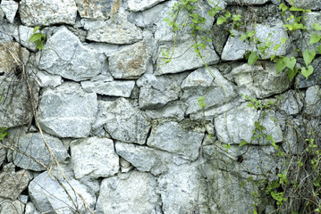 stone wall texture 1.
