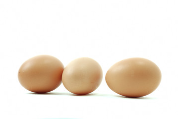 eggs