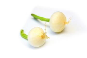 oignons blancs