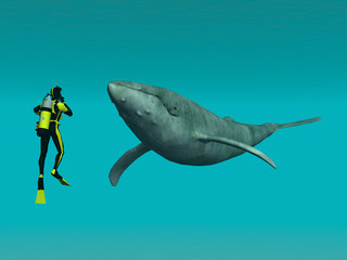 Naklejka premium Nurek z wielorybem