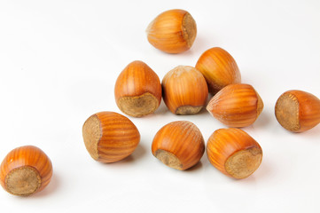 Haselnüsse - Haselnuss - Nuss