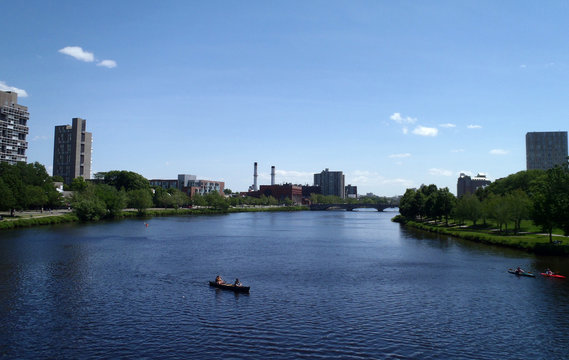 People Rowing In Boats On The Charles River By Harvard Universit