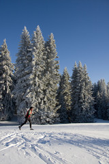 Ski de Fond