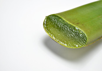 アロエベラ