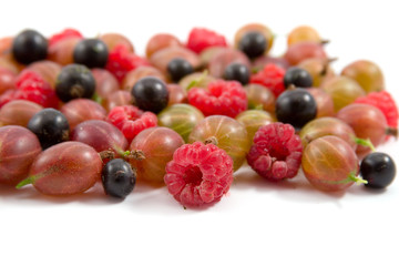 Berries: raspberry, gooseberry and currant