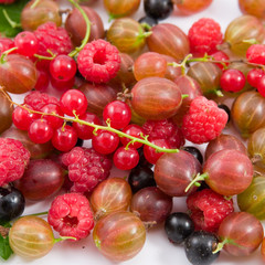 Berries: raspberry, gooseberry and currant