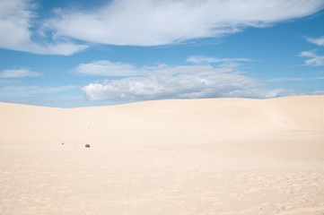 Dunas del desierto