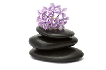 Fototapeta na wymiar lilac flowers and massage stones