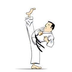 Martial arts - karate high kick