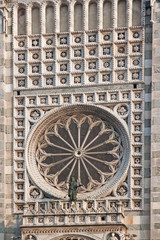 Rose, Duomo of Monza, Lombardia