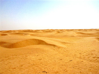 Fototapeta na wymiar pustynia
