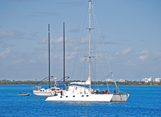 Obraz premium Sail Catamaran