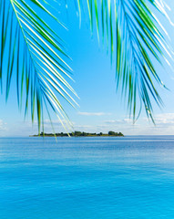 Sea Heaven Palm