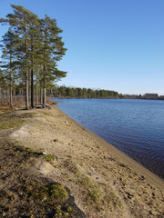 Fototapeta premium Coast of lake