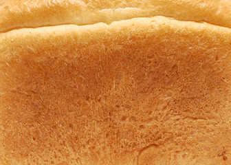 Bread on a white background