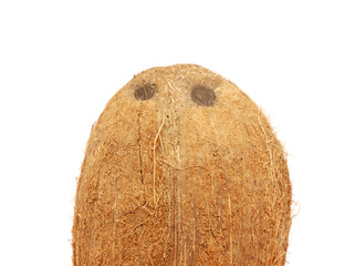 Fototapeta premium Coconut