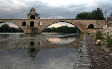 Pont d'Avignon