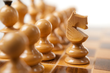 White Chess Knight © Steadler