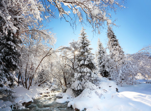 Fototapeta mountain river in winter time