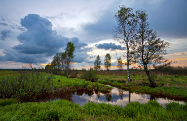 Fototapeta na wymiar Summer field in sunset time. Russia