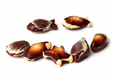 Belgian sea shell chocolates
