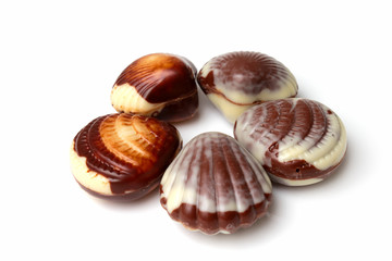 Belgian sea shell chocolates