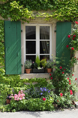 Blumenfenster in Riquewihr