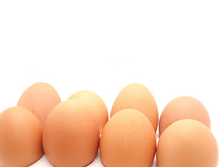 Eggs
