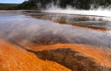 Yellowstone national park