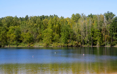 Scenic landscape of tree reflections in summer time