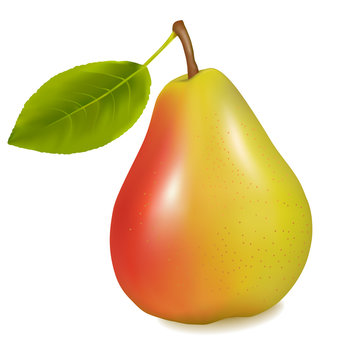 Ripe yellow pear with green leaf. Vector illustration
