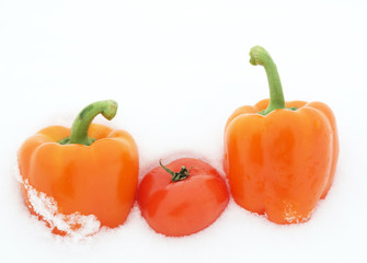Peppers and tomato on snow