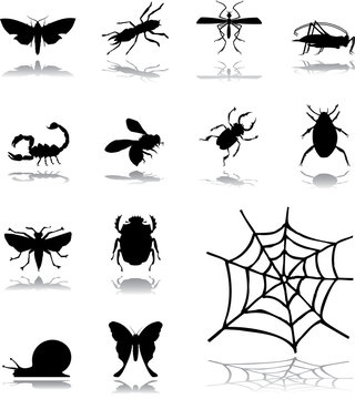 Set icons - 160. Insects